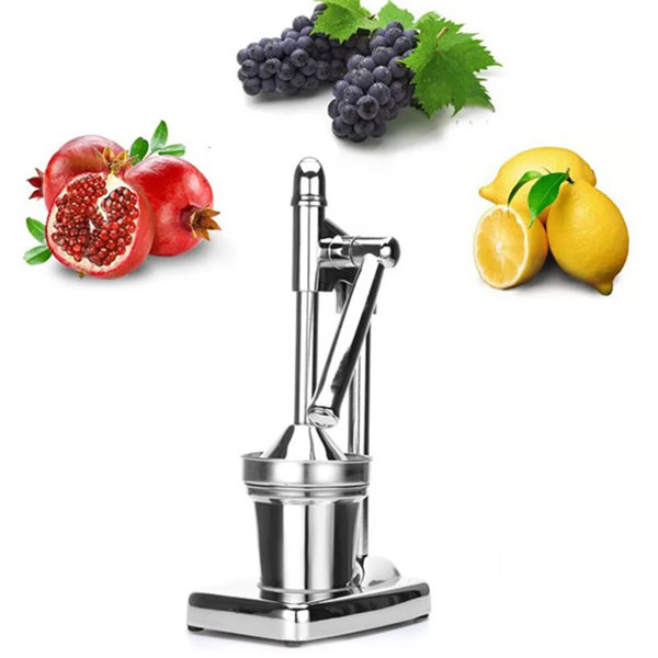 Stock Preferred Manual Steam Juicer Wayfair